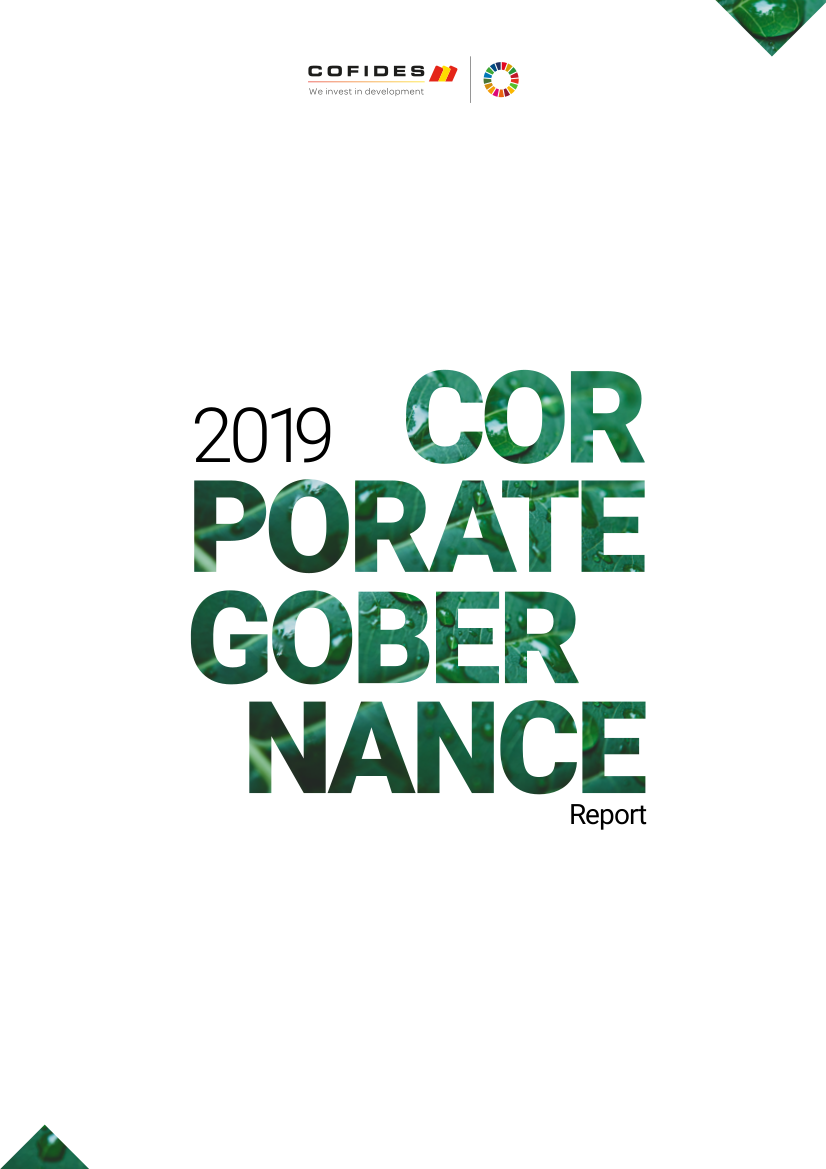 Front cover of the 2019 COFIDES Corporate Governance Report 