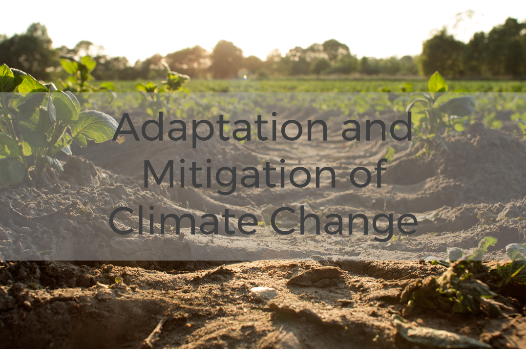 cofides financing adaptation mitigation climate change