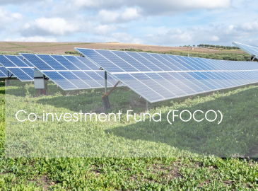 Co-investment Fund (FOCO)