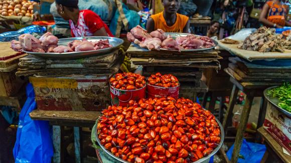 Adjamé market, Abidjan (Ivory Coast). Eva Blue on Unsplash