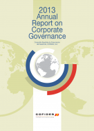 Front cover of the 2013 COFIDES Annual Corporate Governance Report 